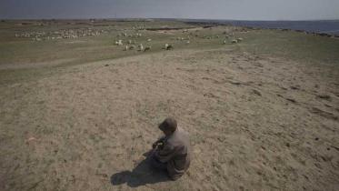 Hirte auf Wiese in Nähe des Kohlekraftwerks Baiyinhua, in der Inneren Mongolai, im Mai 2012