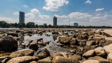 Rhein Wasserstand des Rheins bei Bonn im Hitzesommer 2018