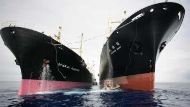 Das japanische Walfangschiff Nisshin Maru im Januar 2008