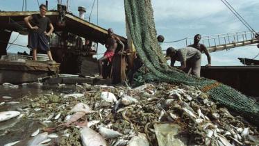 Fischtrawler "OK Fish 9" vor der Küste Sierra Leone, September 2009