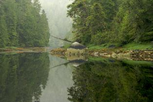 Great Bear Regenwald, Kanada