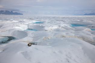 Wissenschaftler bauen Zeitlupenkameras auf dem Petermann-Gletscher auf, Juni 2009