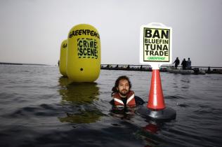 Greenpeace-Aktion gegen eine Thunfischfarm vor der türkischen Küste, November 2009