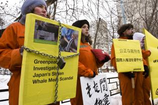 Greenpeace Russland demonstriert für die Freilassung der beiden japanischen Aktivisten, Februar 2010
