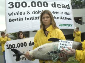 Greenpeace-Meeresbiologin Andrea Cederquist mit einem toten Schweinswal im Arm. Greenpeace protestiert anlässlich der IWC-Tagung in Berlin 2003 gegen den tödlichen Beifang in der Fischerei.