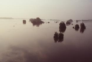 Hochwasser der Elbe bei Dömitz im Wendland, August 2002