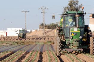 Traktor mit Anhänger und Düsensystem sprüht Pestizide auf Kohl-Pflanzen im Freiland-Anbau in Spanien, Oktober 2005