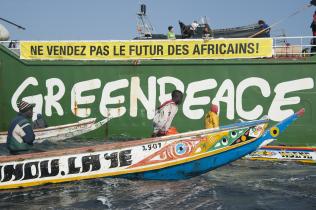 Senegalesische Fischer geleiten das Greenpeace-Schiff Arctic Sunrise in den Hafen von Dakar