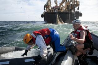Greenpeace-Aktivist lässt sich vom Schlauchboot in eine Rettungsinsel fallen. Unter den Aktivisten zieht die Maartje Theadora ihr Schleppnetz durchs Wasser 