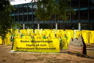 Greenpeace-Aktivisten demonstrieren für Schutzgebiet im Schwarzwald, September 2012