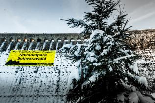 Greenpeace Kletterer protestieren für Nationalpark, Dezember 2012
