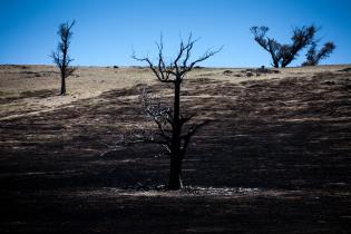 Buschbrand in Aftermath, Australien, Januar 2013