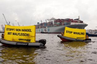 Greenpeace-Protest vor dem Frachtschiff "Cosco Pride", Juni 2013