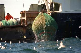 Dänischer Trawler "Alleroe" holt die Netze ein