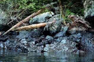 1989: Der Prince Williams Sound in Alaska wird noch jahrzehntelang von Öl verseucht sein 