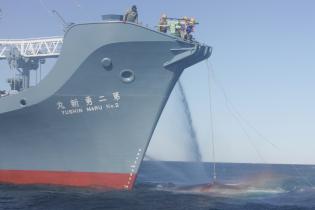 Archivbild: Das japanische Walfangschiff Yushin Maru No.2 auf der Jagd nach Minkewalen im Südlichen Ozean