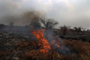 Feuer in der indonesischen Provinz Riau auf Sumatra, 3. Mai 2014