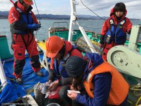 Februar/März 2016: Greenpeace misst die Strahlung im Meer vor dem AKW Fukushima. Ein Unterwasserroboter filmt und nimmt Proben 