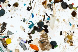 Mikroplastik aus deutschen Flüssen