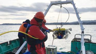 Februar und März 2016: Greenpeace misst die Strahlung vor der Küste von Fukushima. Ein Unterwasserroboter nimmt Proben.