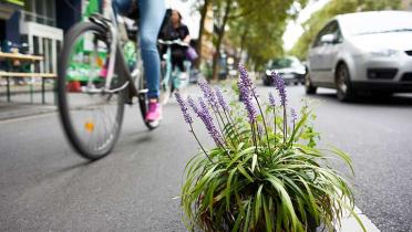 Park(ing) Day: Blumen grenzen einen Radweg in Köln von der Straße ab