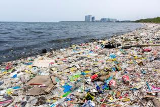 Müll am Strand der Vogelschutzinsel Freedom Island
