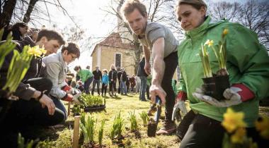 Greenpeace-Mitarbeiter pflanzen ein X aus Osterglocken vor der Dorfkirche in Pödelwitz.