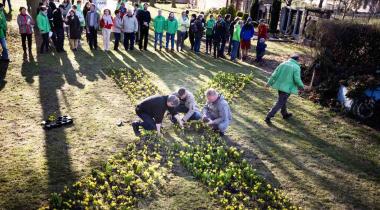 Greenpeace-Mitarbeiter und Menschen aus Pödelwitz pflanzen ein X aus Osterglocken vor der Dorfkirche, um gegen die Abbaggerung zu demonstrieren.