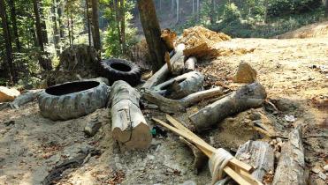 Laubbäume, davor eine gerodete Waldfläche mit Sandboden, auf der tote Stämme liegen, dazwischen zwei LKW-Reifen, Holzlatten und Plastikmüll