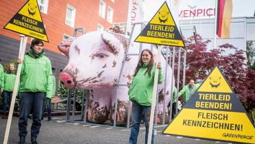 Greenpeace-Aktivisten demonstrieren mit einem fünf mal drei Meter großen aufblasbaren Schwein in einem engen Stall vor der Agrarministerkonferenz in Münster. Auf einem Banner fordern sie: „Tierleid beenden!" und "Fleisch kennzeichnen!"