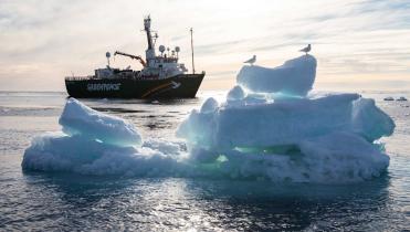 Greenpeaceschiff Arctic Sunrise vor Eisscholle