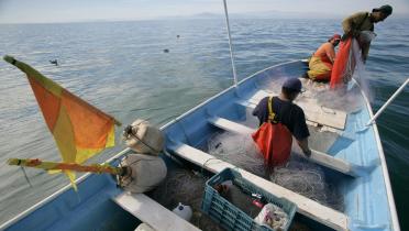 Stellnetzfischerei, Mexiko
