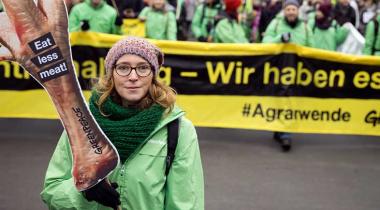 Zehntausende Menschen sind in Berlin auf der Straße, um während der Grünen Woche 2017 gegen die industrielle Tierproduktion zu protestieren. Im Vordergrund Stephanie Töwe-Rimkeit