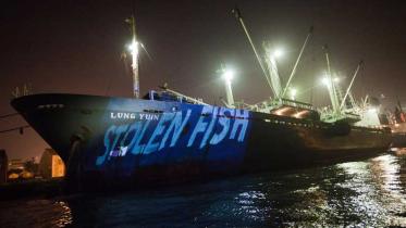 Projektion auf Lung Yuin gegen illegalen Thunfischfang. Januar 2011