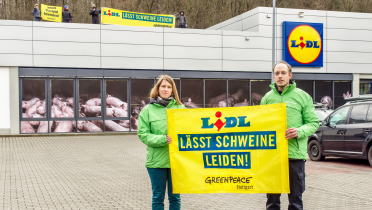 Vor einer Lidl-Filiale in Stuttgart kritisieren Greenpeace-Aktivisten auf Bannern: "Lidl lässt Schweine leiden".