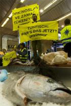 Greenpeace-Aktivisten mit Banner auf der European Seafood Exposition