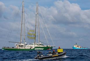 "Rainbow Warrior" im Pazifik zum Schutz der Tiefsee vor dem Schiff "Maersk Launcher", gechartert von der Bergbaufirma "DeepGreen"
