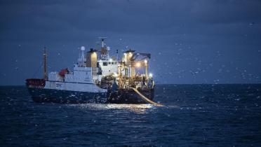 Fangschiff im Ärmelkanal