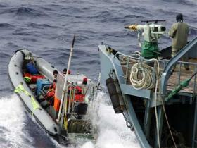 Aktivisten gegen Walfänger im Südpolarmeer
