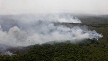 Brandrodung im Amazonasgebiet im August 2008