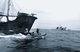 Die ersten Greenpeace-Aktivisten: Mit dem Schlauchboot gegen einen sowjetischen Walfänger, 1976