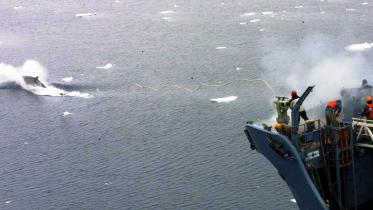 Japanischer Walfang im Südpolarmeer. Dezember 2001