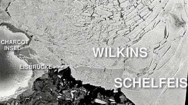 Wilkins-Schelfeis nach dem Bruch der Eisbrücke. 2009