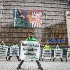 Live-Ticker auf der Fassade des EU-Ratssitzes in Brüssel zeigt Waldzerstörung in Echtzeit