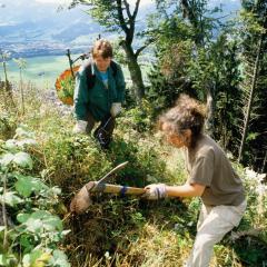 Zwei Frauen pflanzen junge Bäume für Bergwaldprojekt in den Alpen