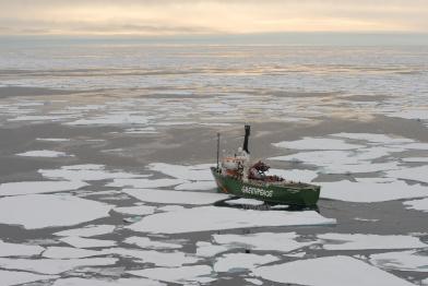 Die Arctic Sunrise auf Expedition in der Arktis