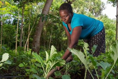 Prisca Mayende bewirtschaftet eine Anbaufläche mit Grün-Pflanzen.