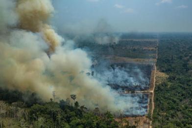Waldzerstörung in Brasilien