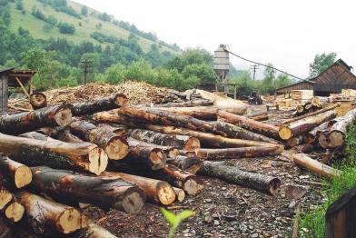 Sägewerk in Rumänien