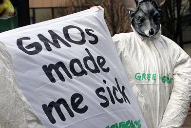 Aktion gegen Gen-Food in Brüssel